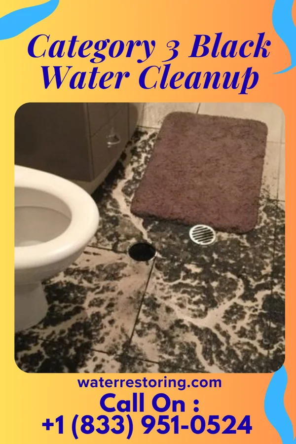 Category 3 Black Water Cleanup in Cedarhurst, NY